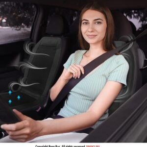 BROGBUS Car Cooling Seat Cushion Cover Ventilated Seat Cover with Inbuilt Fans with Speed Control Cooling Seat for Driver Seat (Supports 12V to 24V, Black) | Polyester
