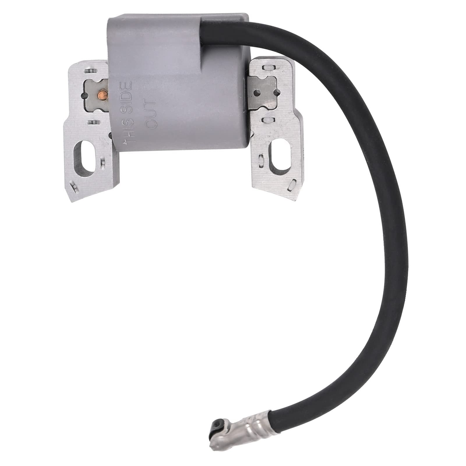 595291 796500 Ignition Coil & Spark Plug for BS Engine - Image 3