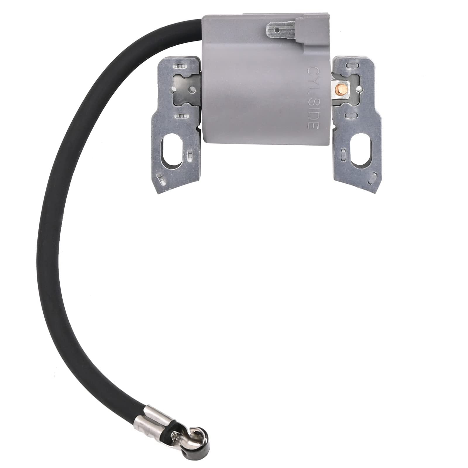 595291 796500 Ignition Coil & Spark Plug for BS Engine - Image 2