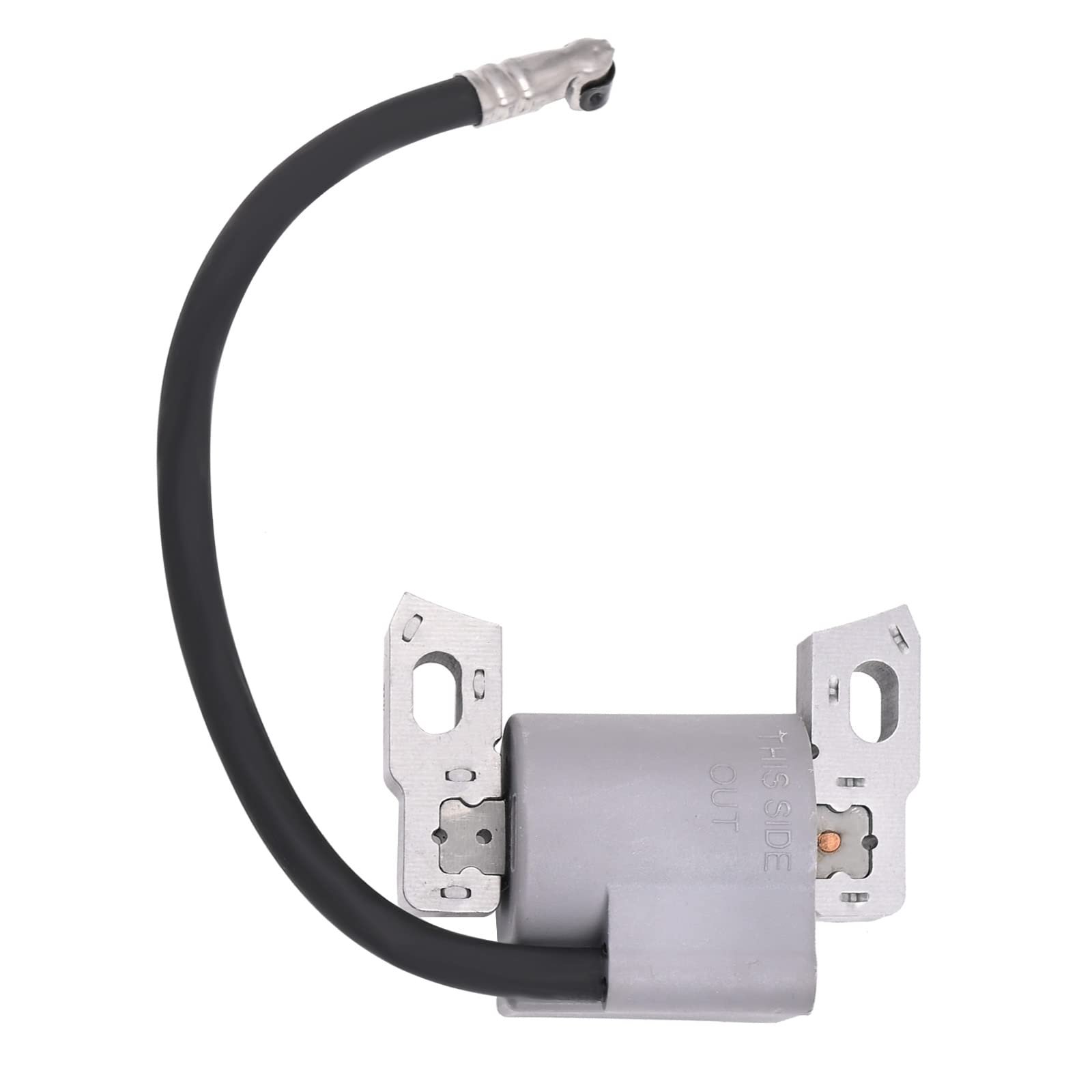595291 796500 Ignition Coil & Spark Plug for BS Engine - Image 7