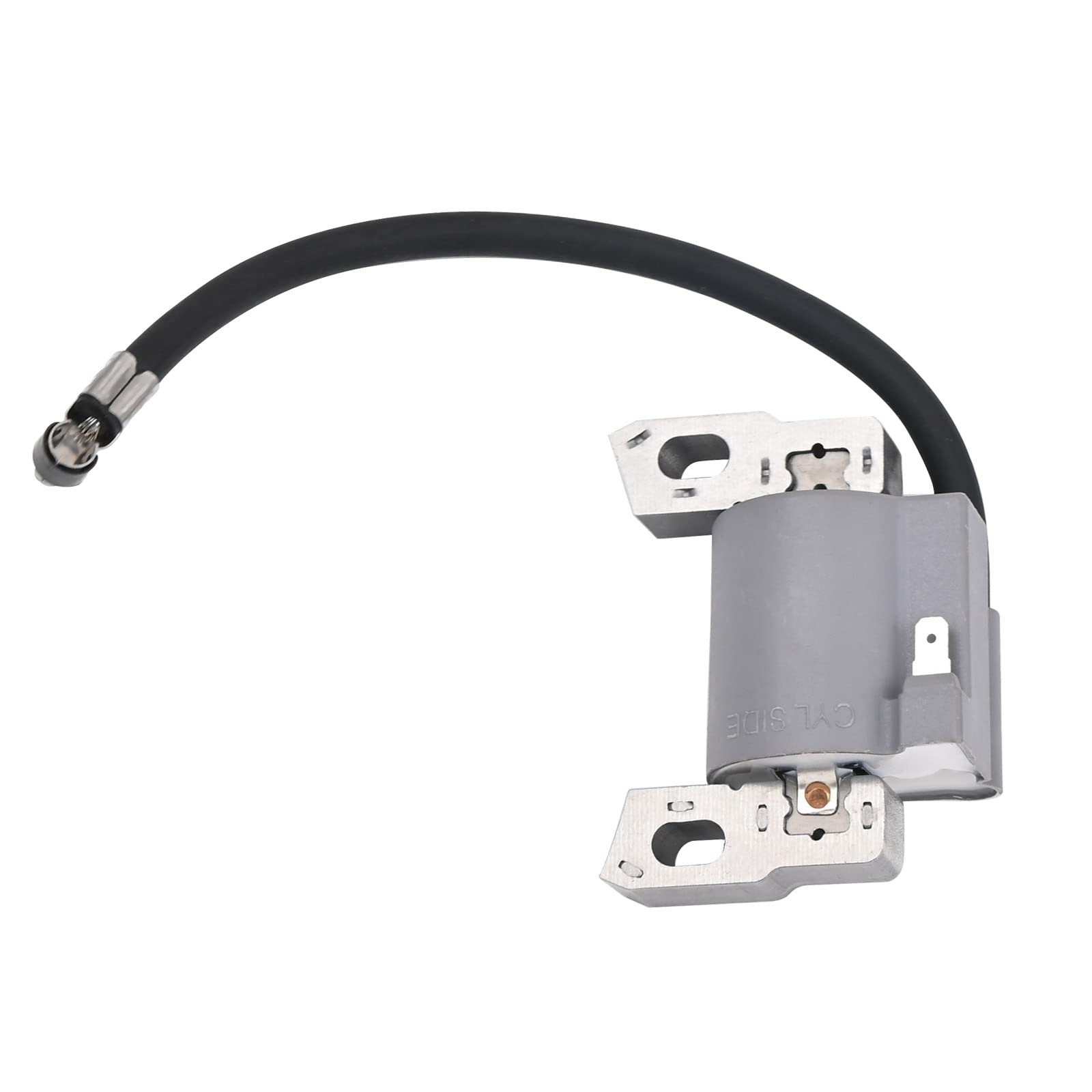 595291 796500 Ignition Coil & Spark Plug for BS Engine - Image 8