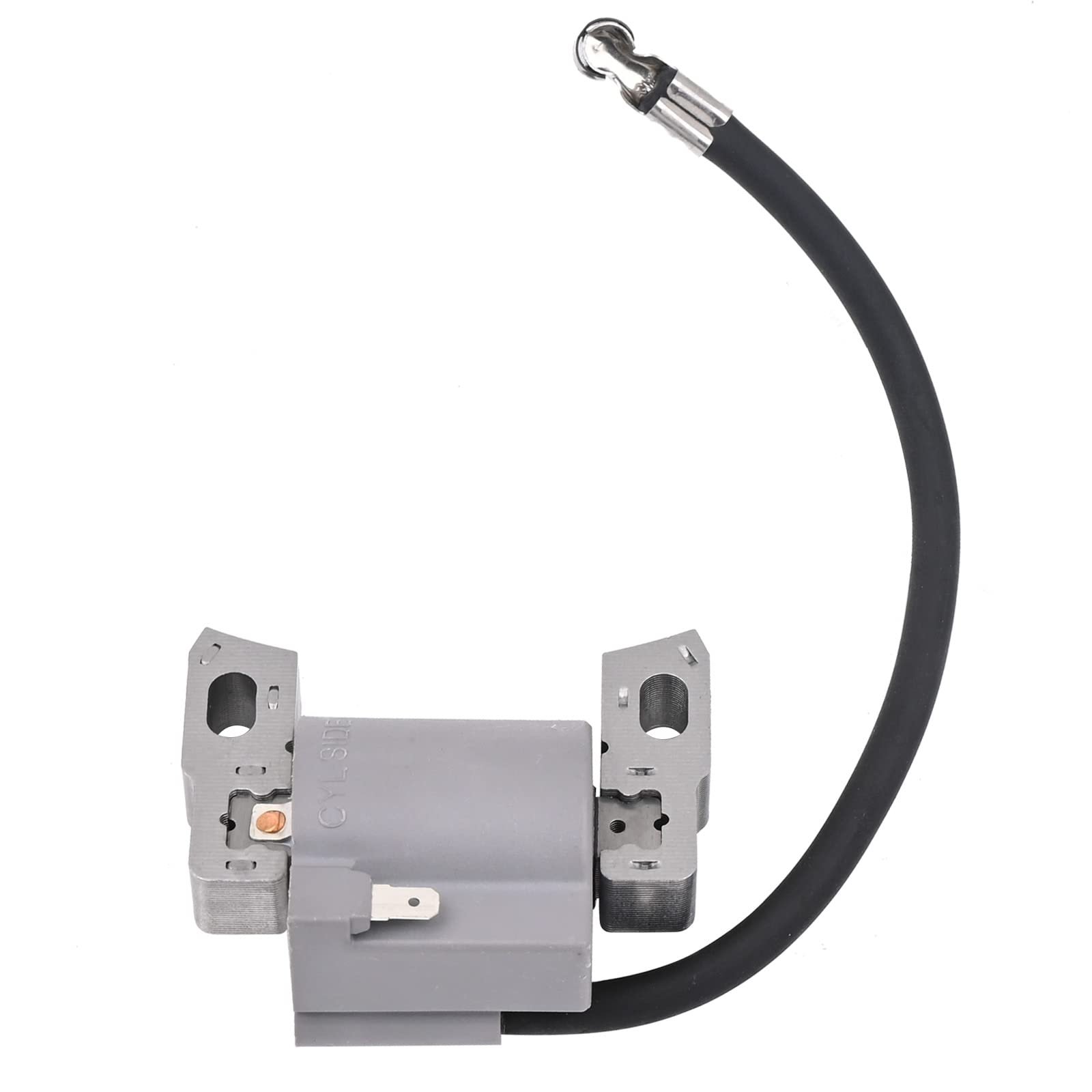 595291 796500 Ignition Coil & Spark Plug for BS Engine - Image 6