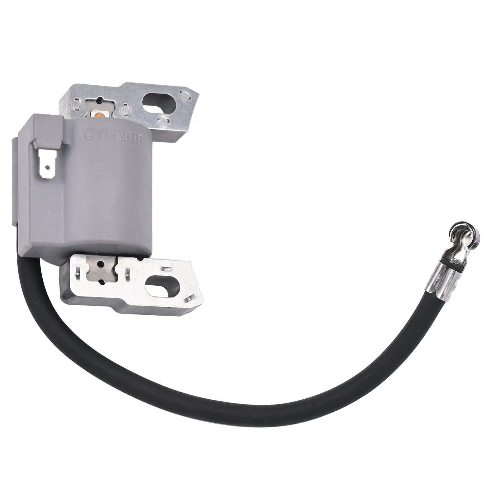 595291 796500 Ignition Coil & Spark Plug for BS Engine - Image 4
