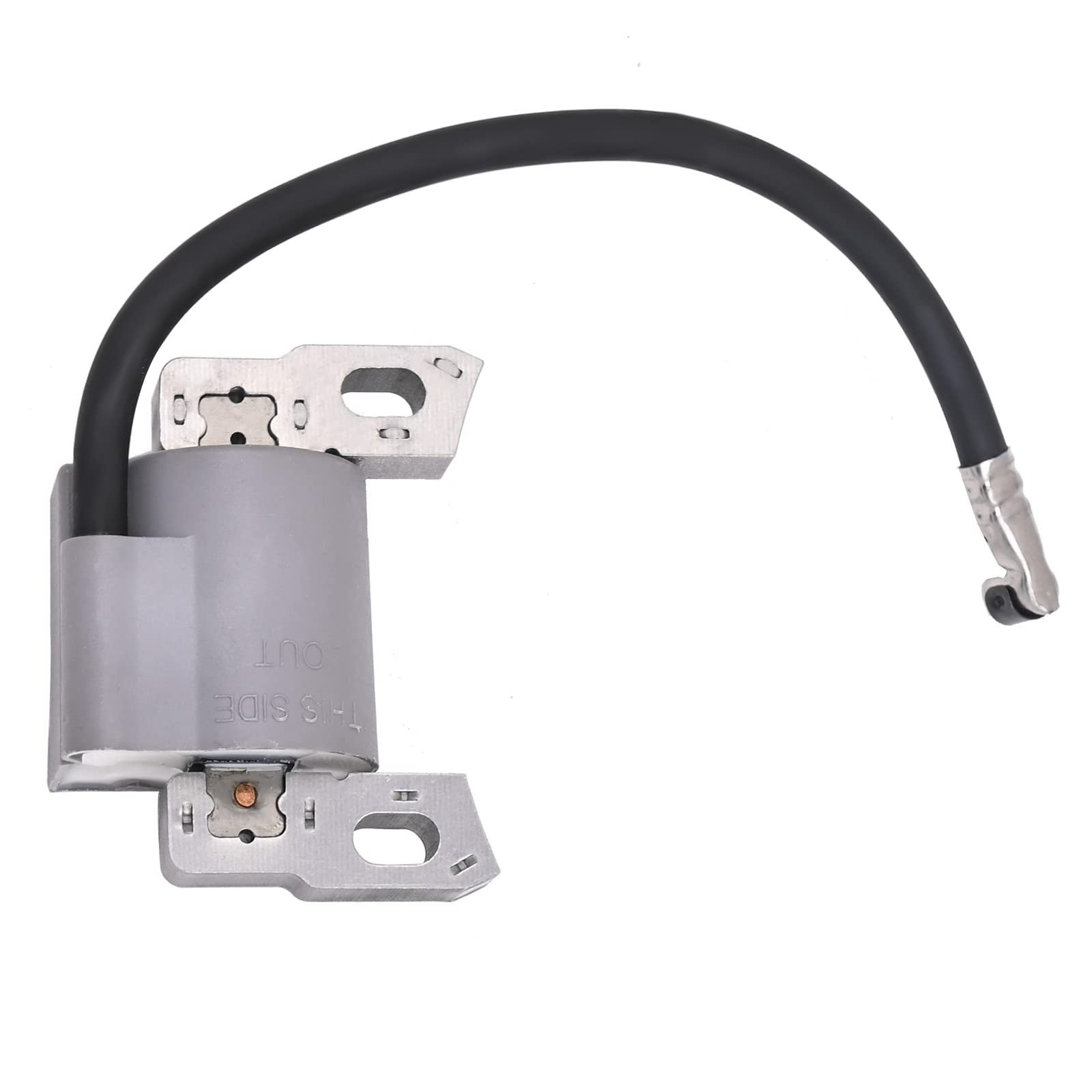 595291 796500 Ignition Coil & Spark Plug for BS Engine - Image 5