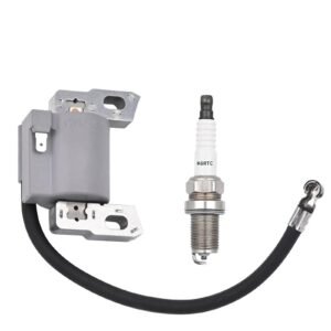 595291 796500 Ignition Coil & Spark Plug for BS Engine